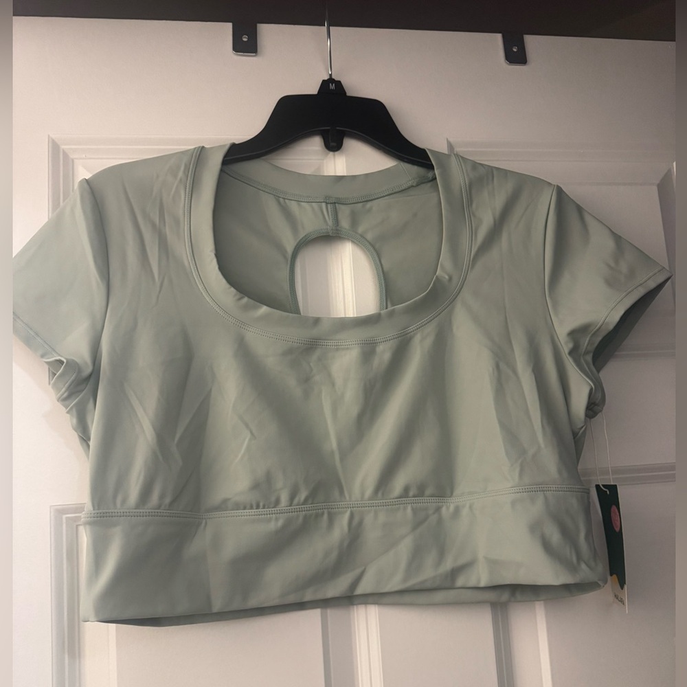 HALARA Light Green Crop Top